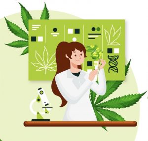 Marihuana agencia SEO Growseo